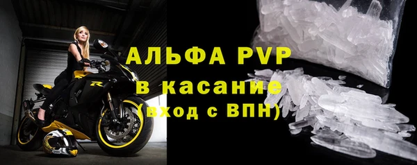 стаф Усмань