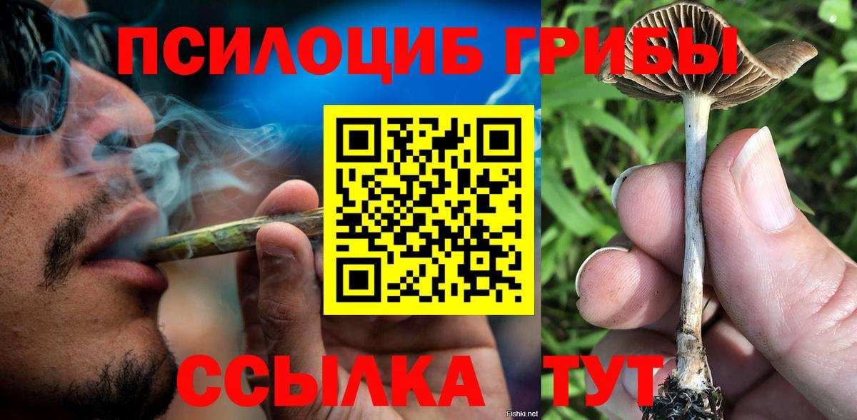 Галлюциногенные грибы Magic Shrooms  Вход с VPN  Калининград 