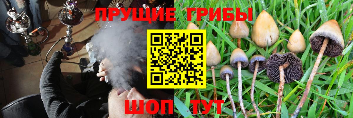 Псилоцибиновые грибы ЛСД  Калининград 