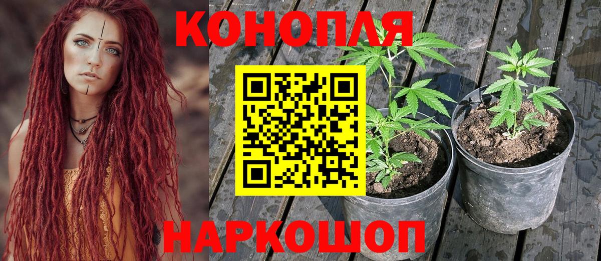 Канабис VHQ Калининград